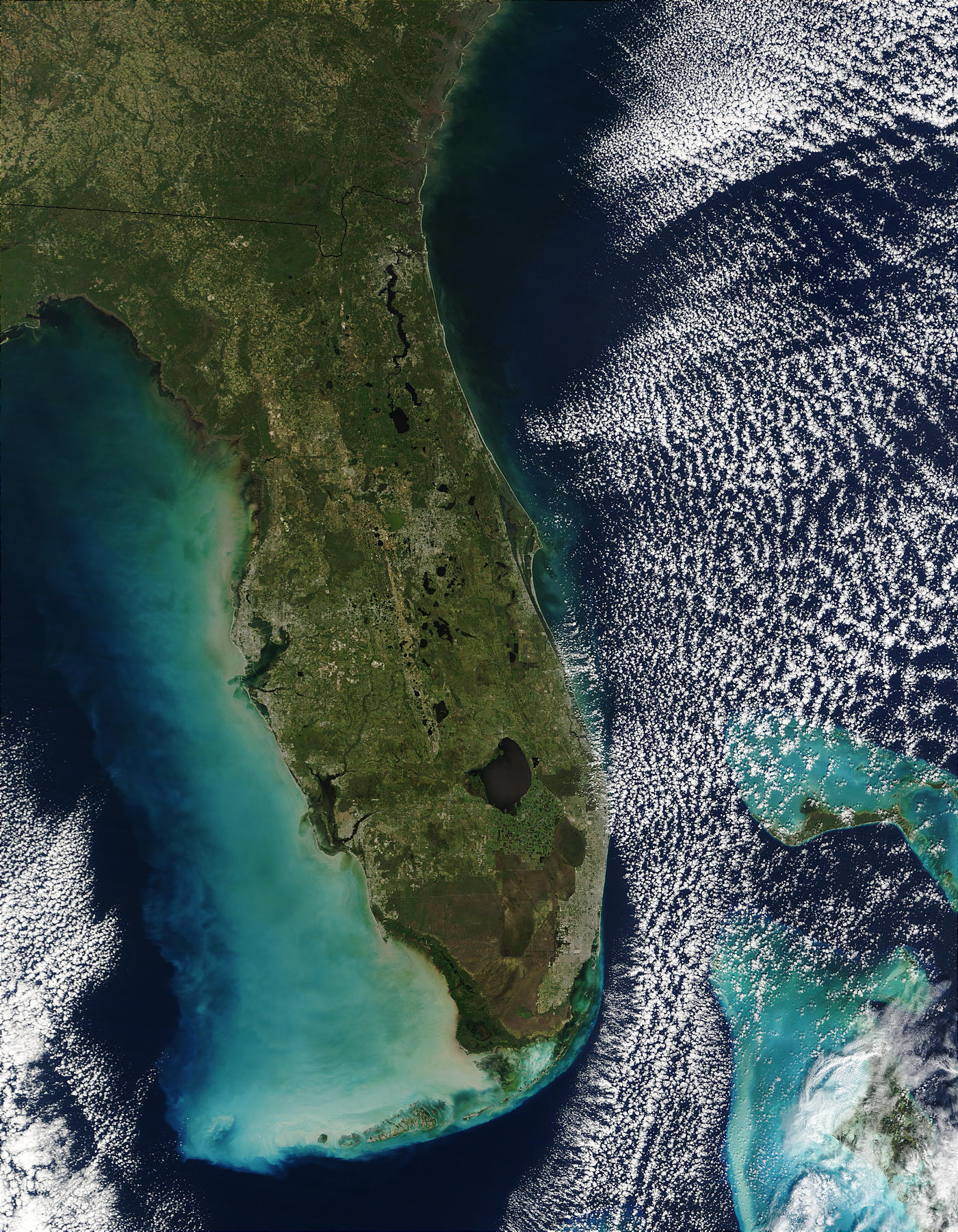 Turbidity along the coast of Florida - related image preview