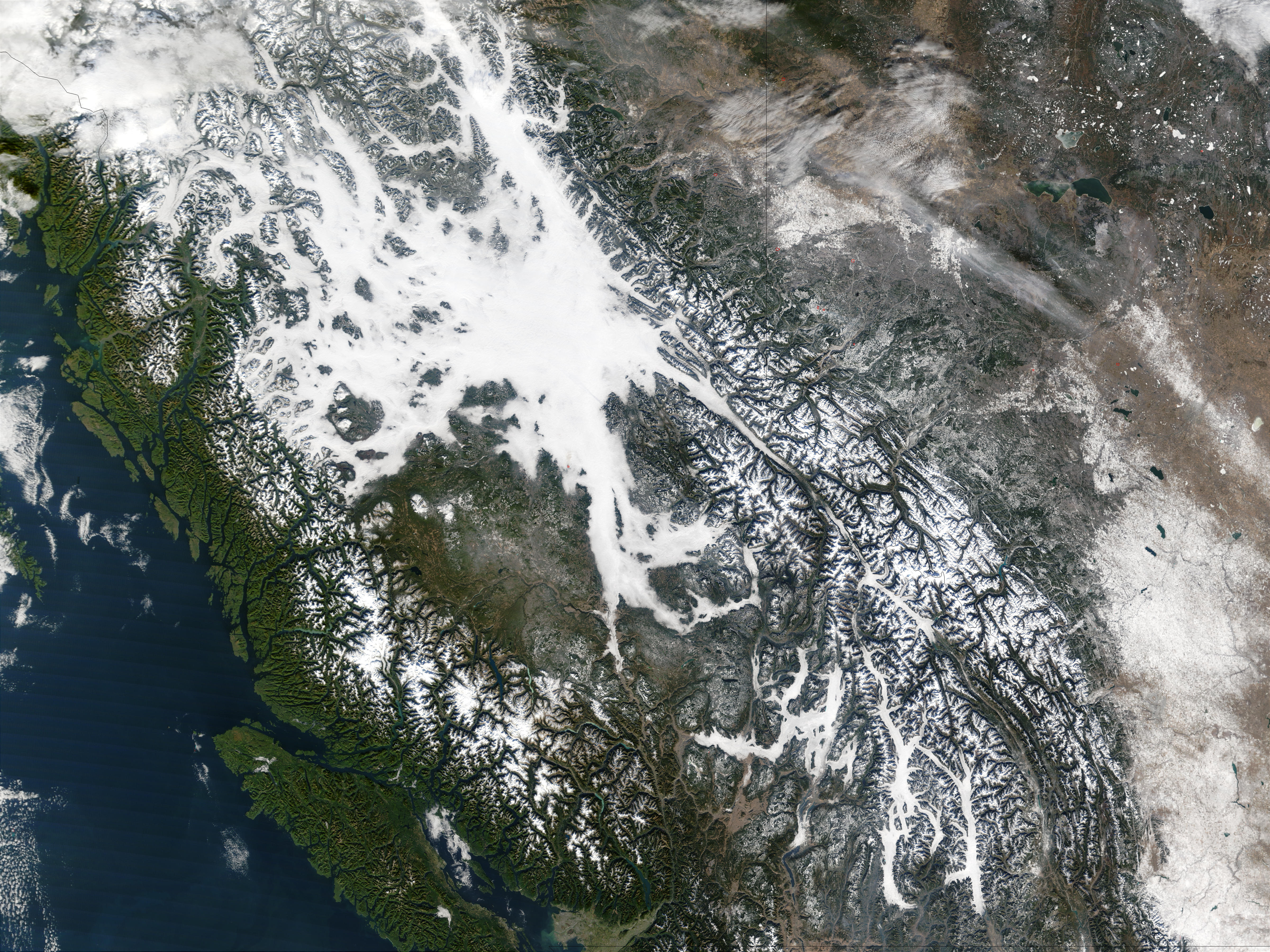 Fog in British Columbia - related image preview