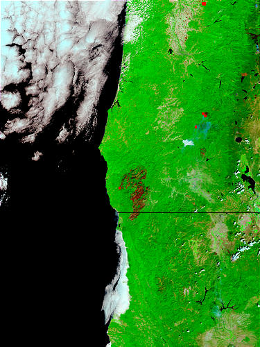 Burn scar of the Biscuit Fire, Oregon - related image preview