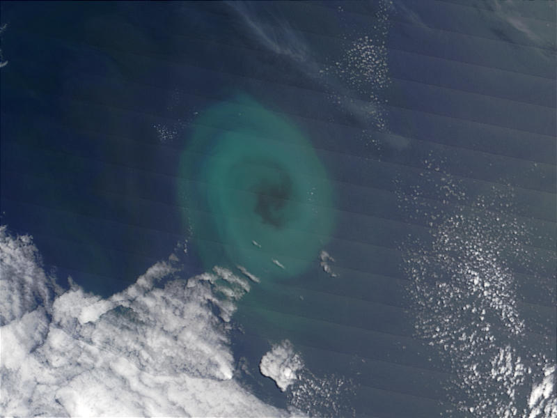 Phytoplankton east of Tasmania - related image preview
