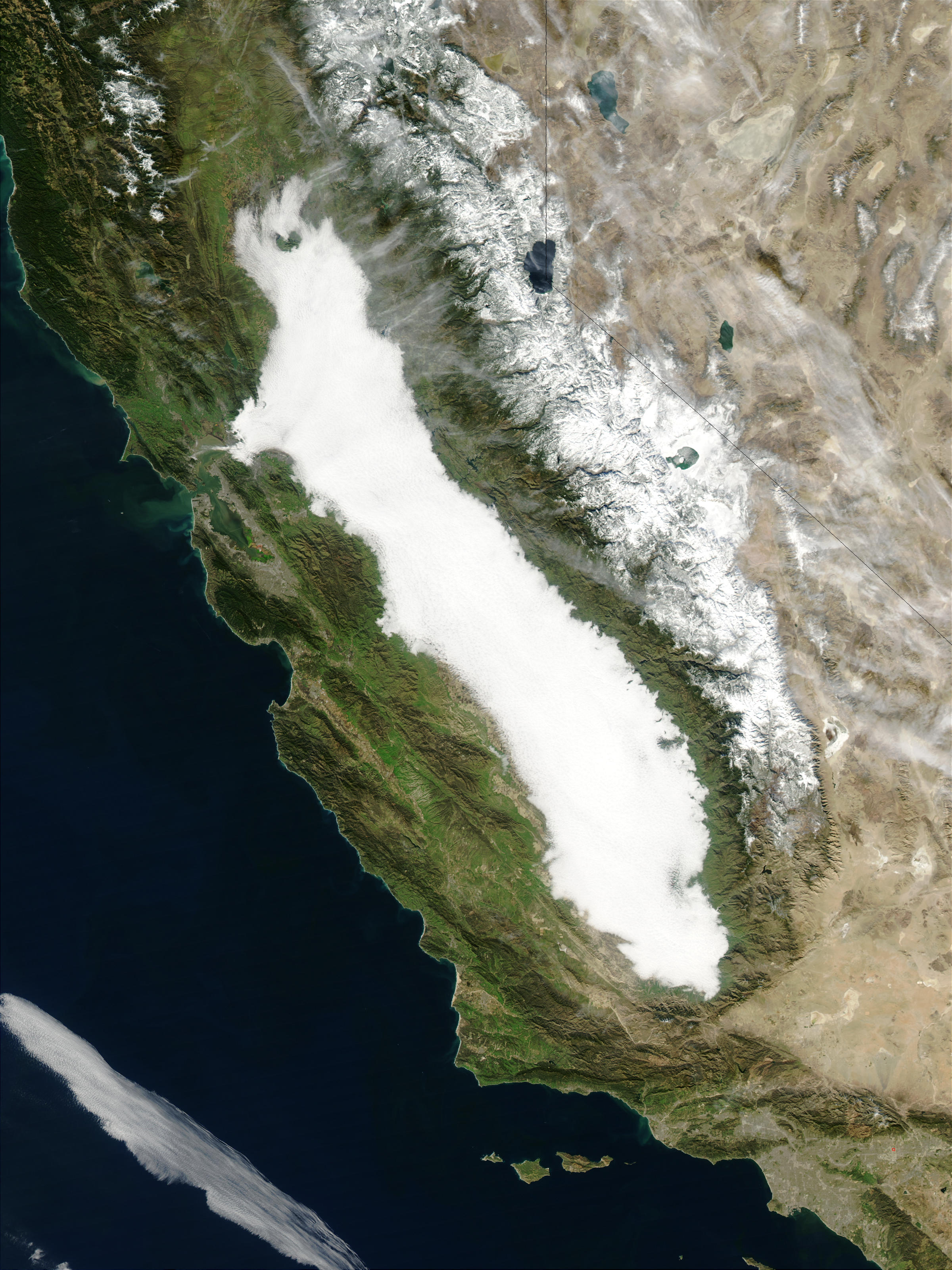 Fog in California - related image preview