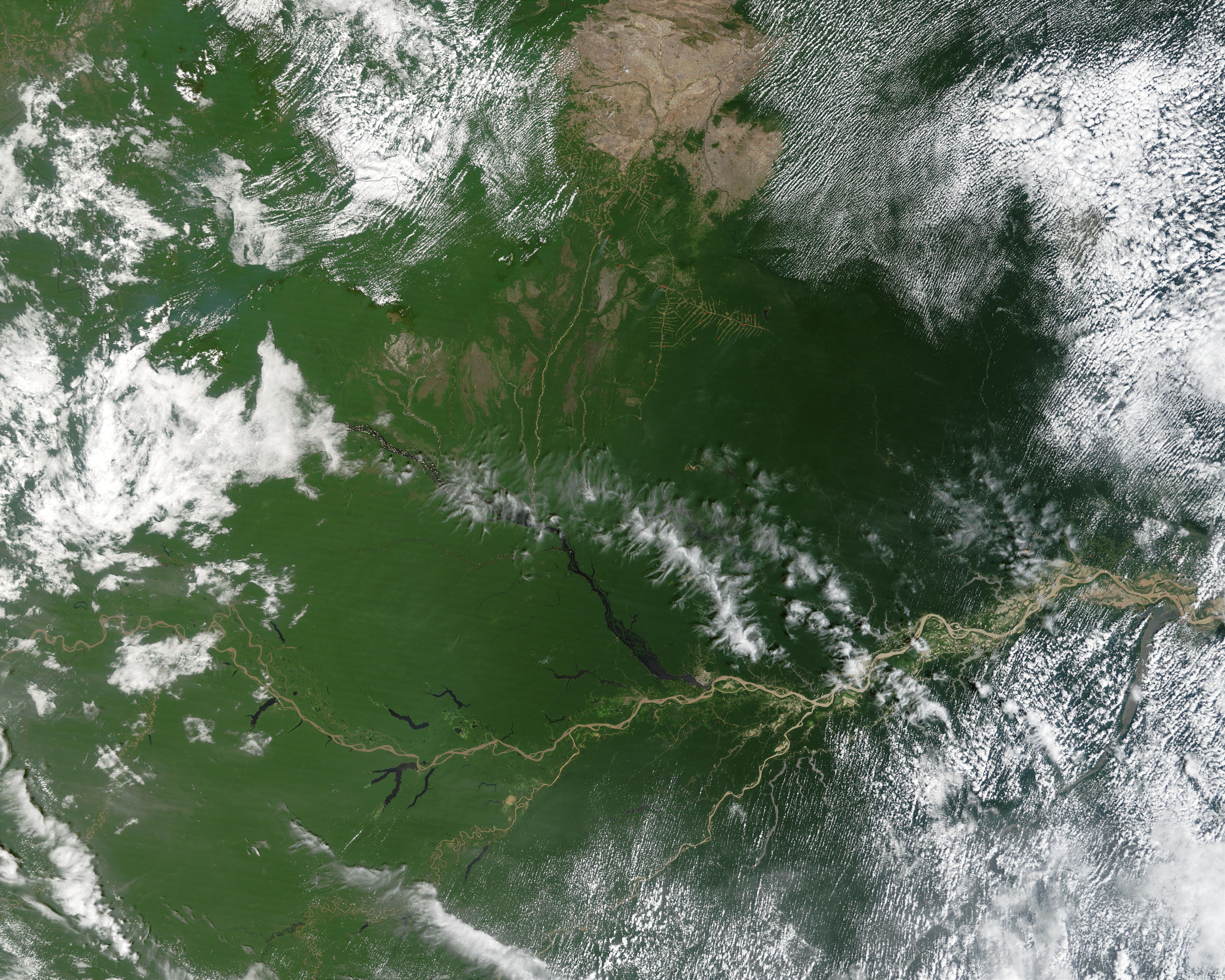 Fires in the Amazon Basin of Brazil - related image preview