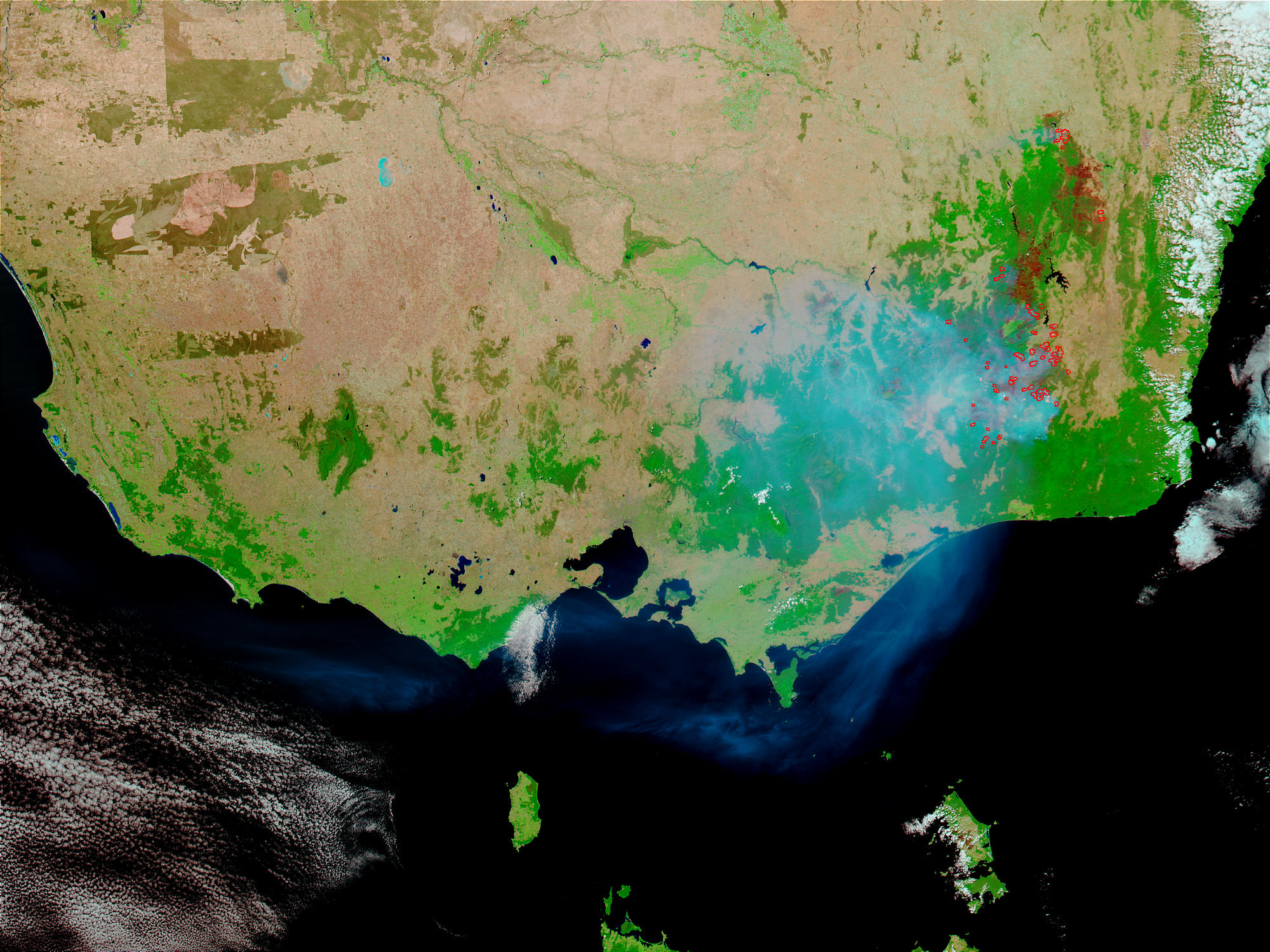 Fires and burn scars in Southeast Australia - related image preview