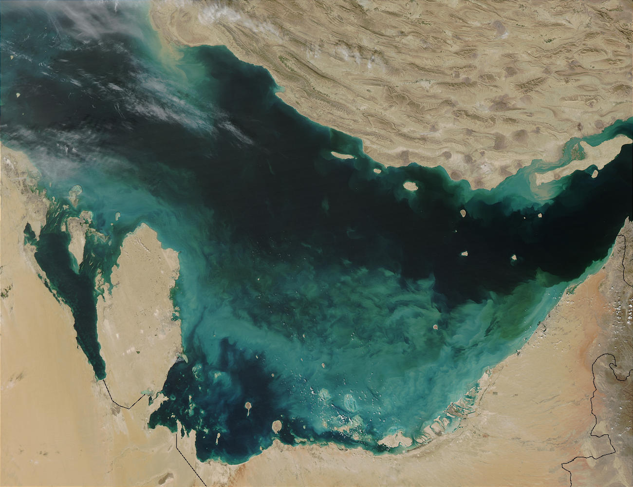 Phytoplankton bloom in southern Persian Gulf - related image preview