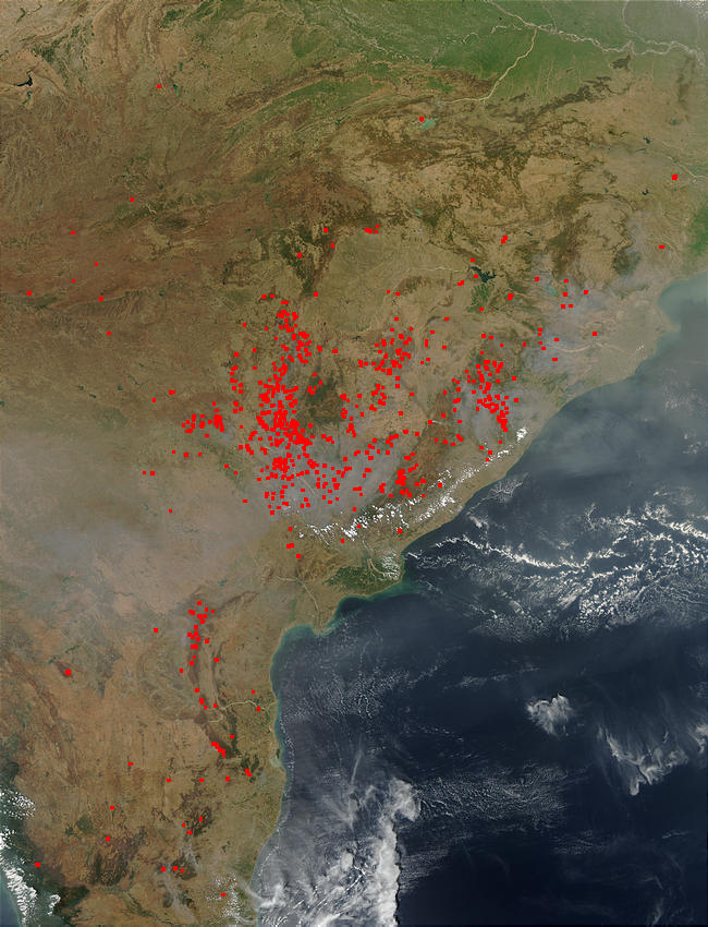 Fires in Eastern India - related image preview