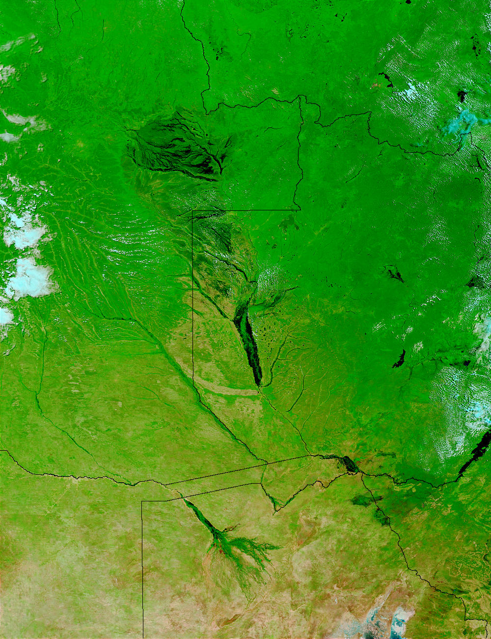 Floods in Zambia and Angola - related image preview