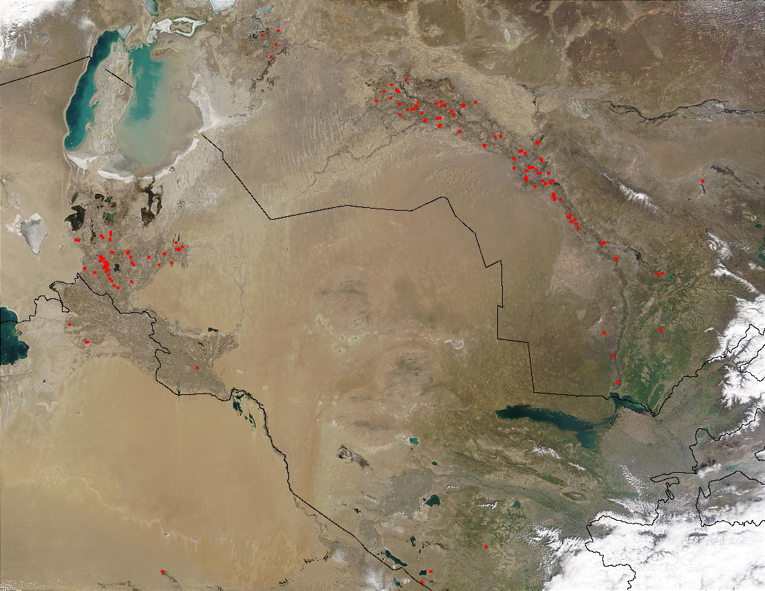 Fires in Central Asia - related image preview