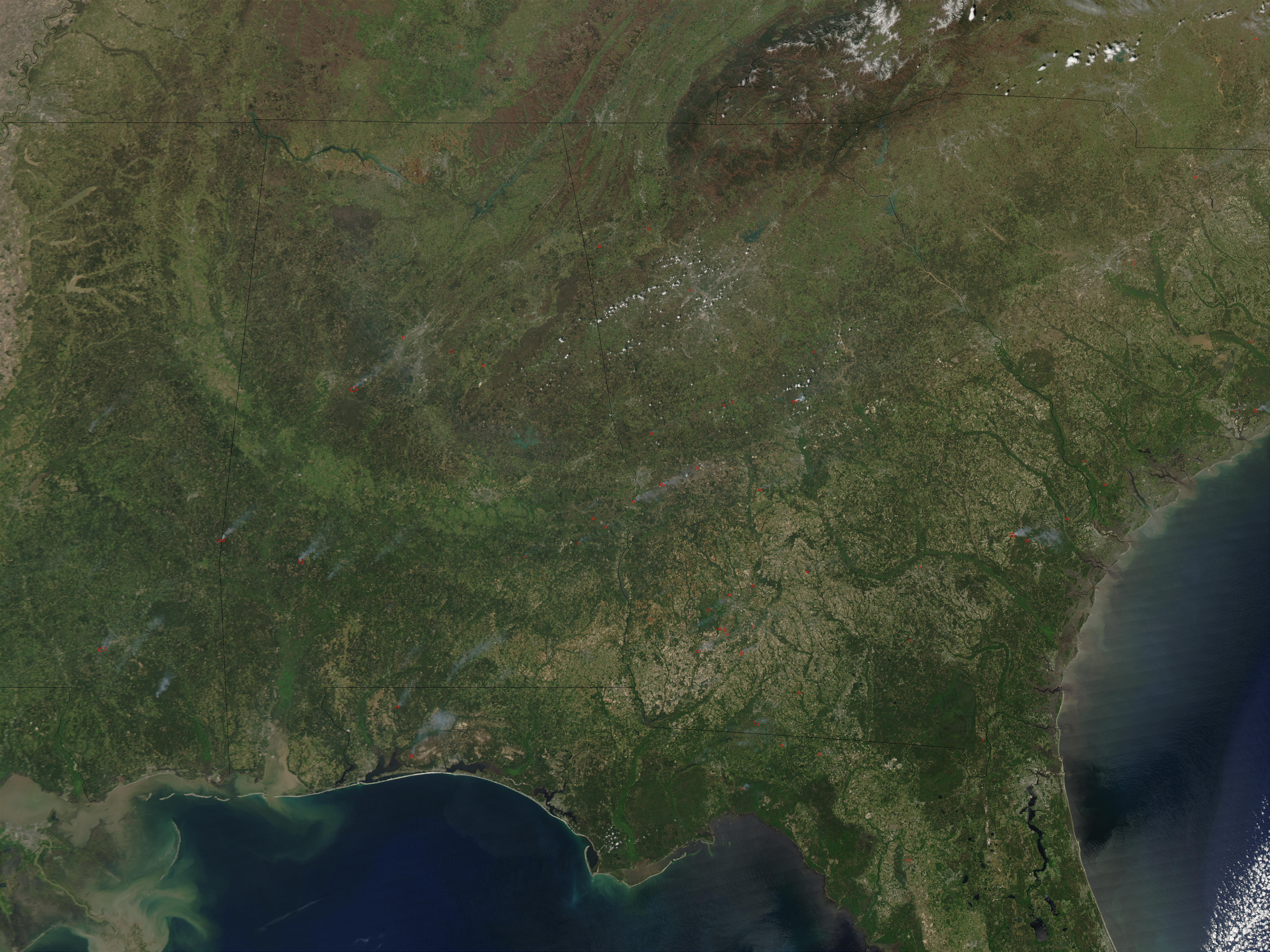 Fires in Southeastern United States - related image preview
