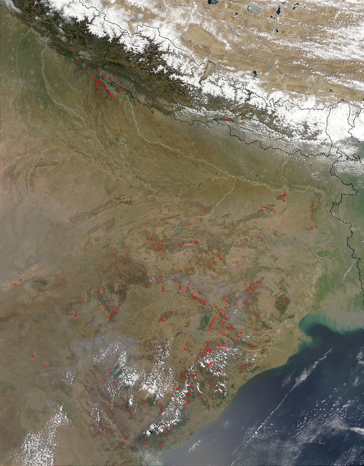 Fires in eastern India - related image preview