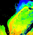 Gulf Stream off US East Coast - selected child image