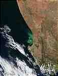Phytoplankton bloom off South Africa - selected child image