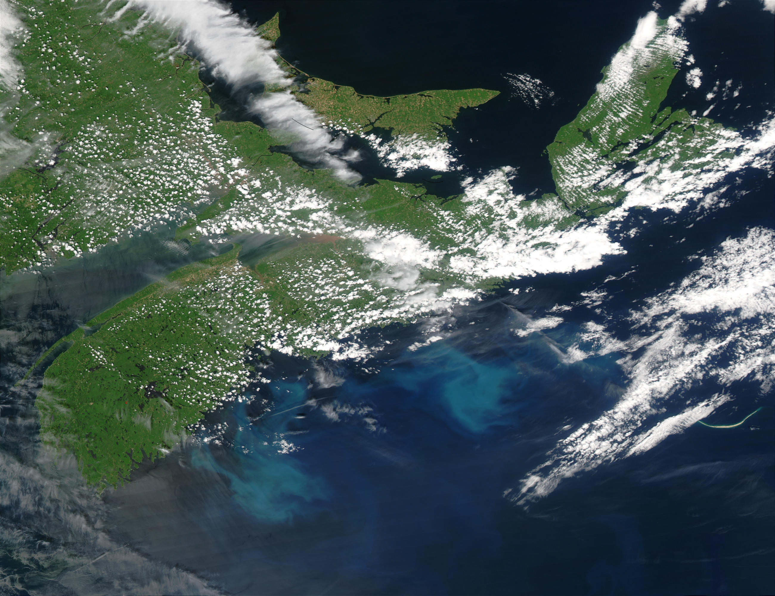 Phytoplankton bloom off Nova Scotia - related image preview