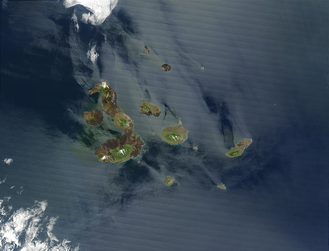 Galapagos Islands, Pacific Ocean - related image preview