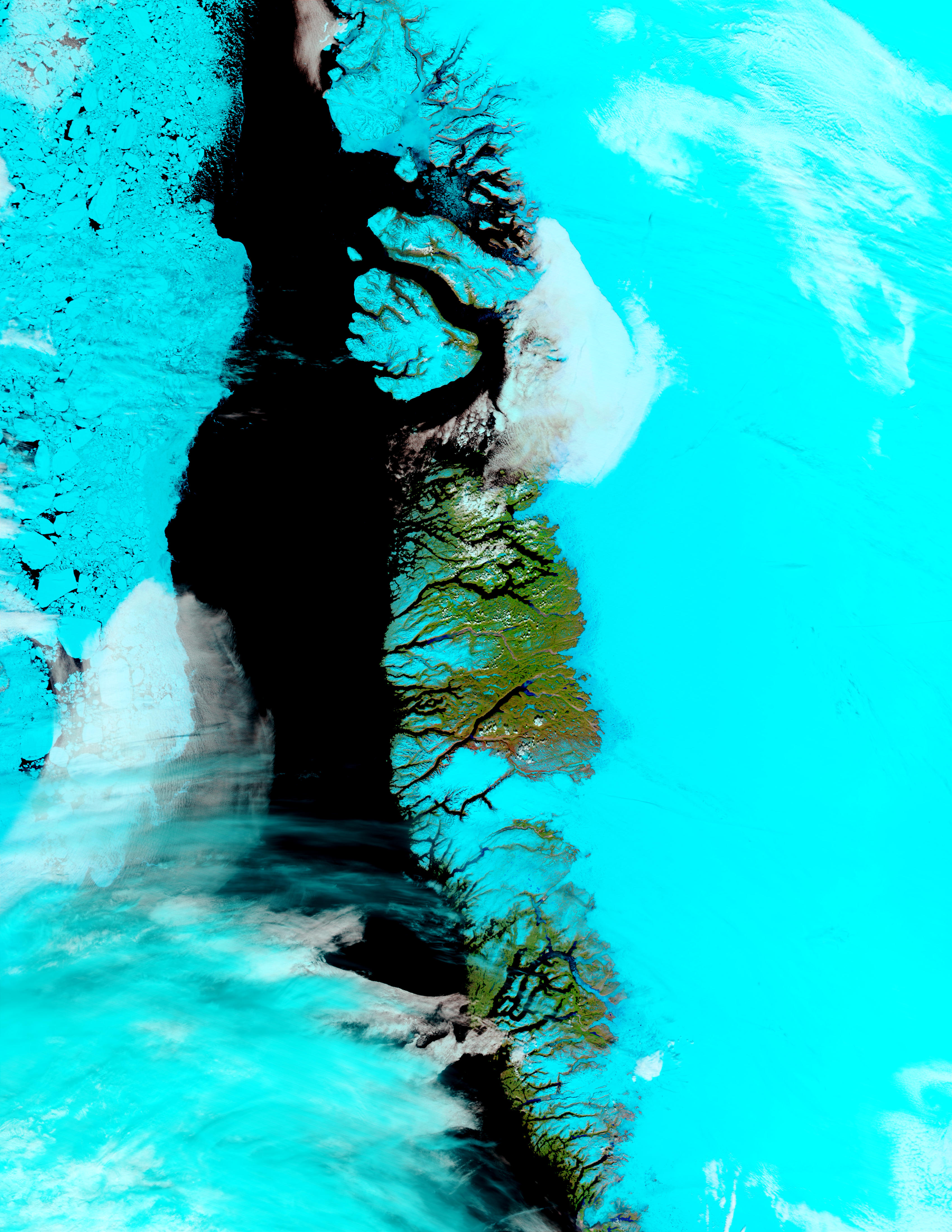 Greenland West Coast (false color) - related image preview