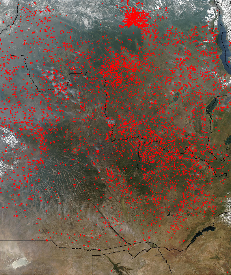 Fires in Angola, the Democratic Republic of the Congo, and Zambia - related image preview