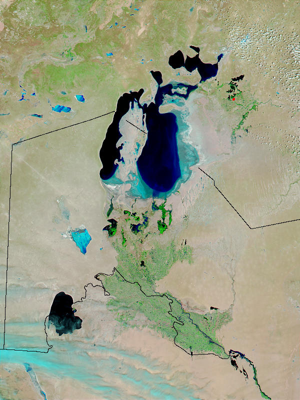 Aral Sea (false color) - related image preview