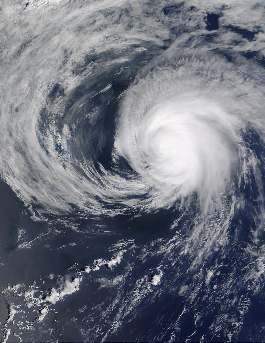 Hurricane Danny in the North Atlantic - related image preview