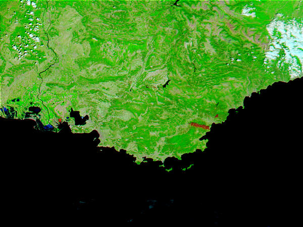 Burn scar in the Maures, Southeast France - related image preview