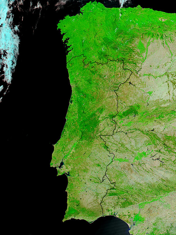Portugal (false color, before fires) - related image preview