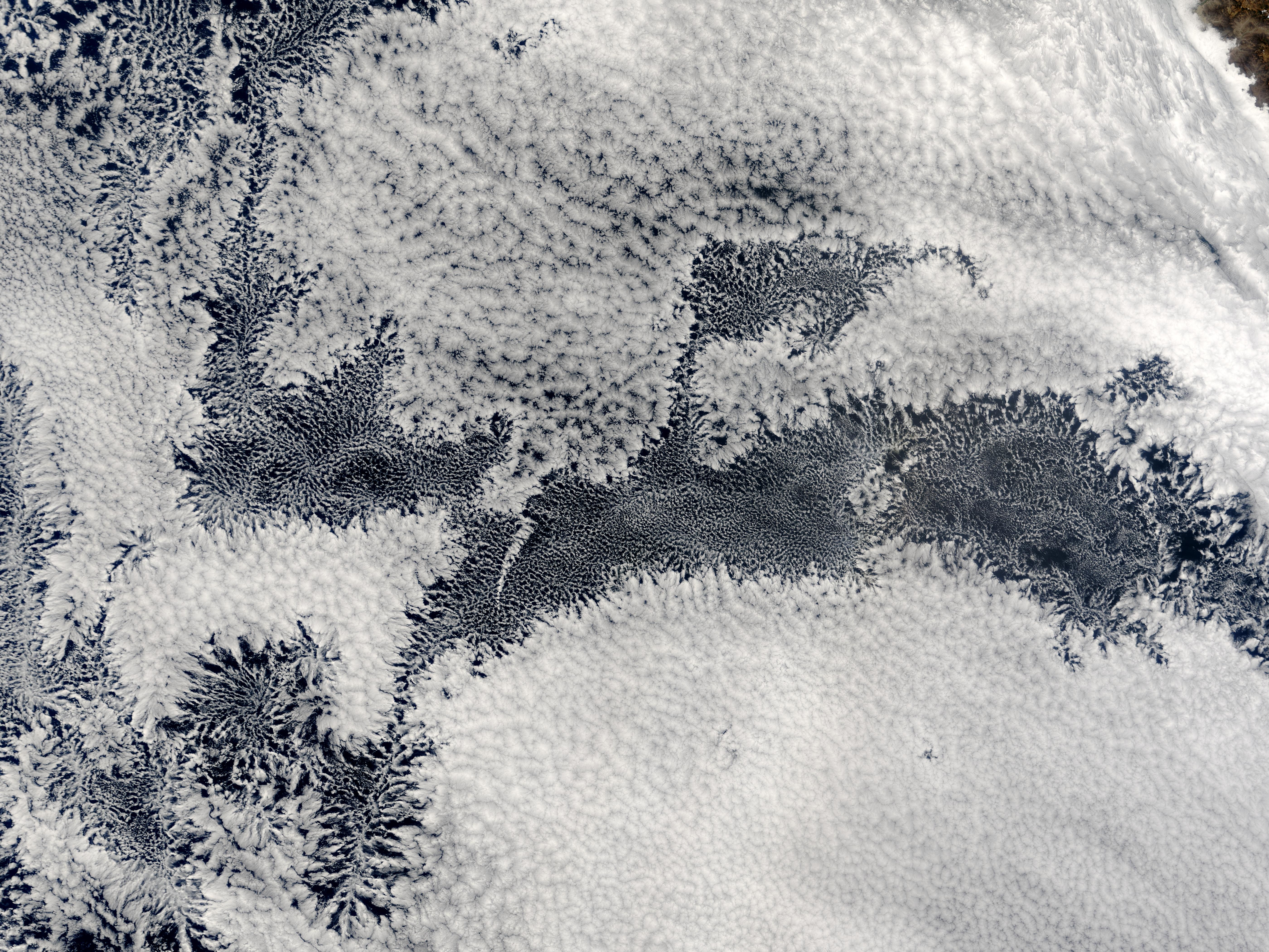 Open-cell and closed-cell clouds off Peru, Pacific Ocean - related image preview
