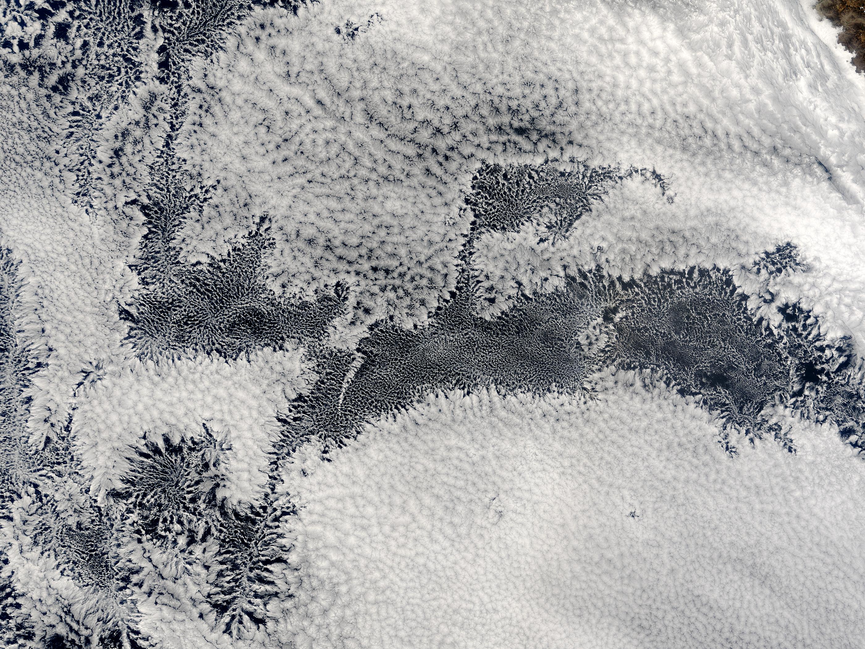 Open-cell and closed-cell clouds off Peru, Pacific Ocean - related image preview