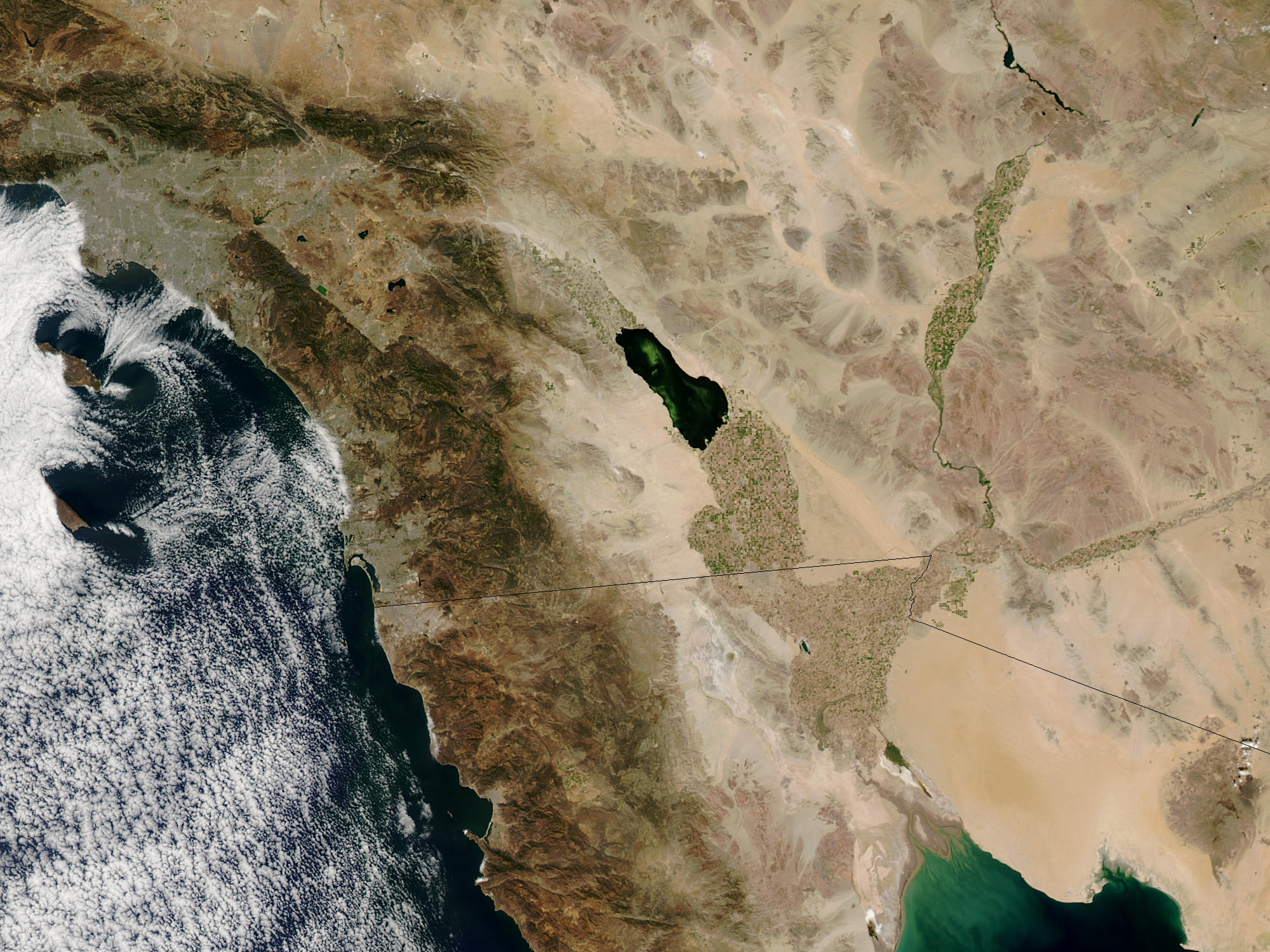 Algal bloom in the Salton Sea, California - related image preview