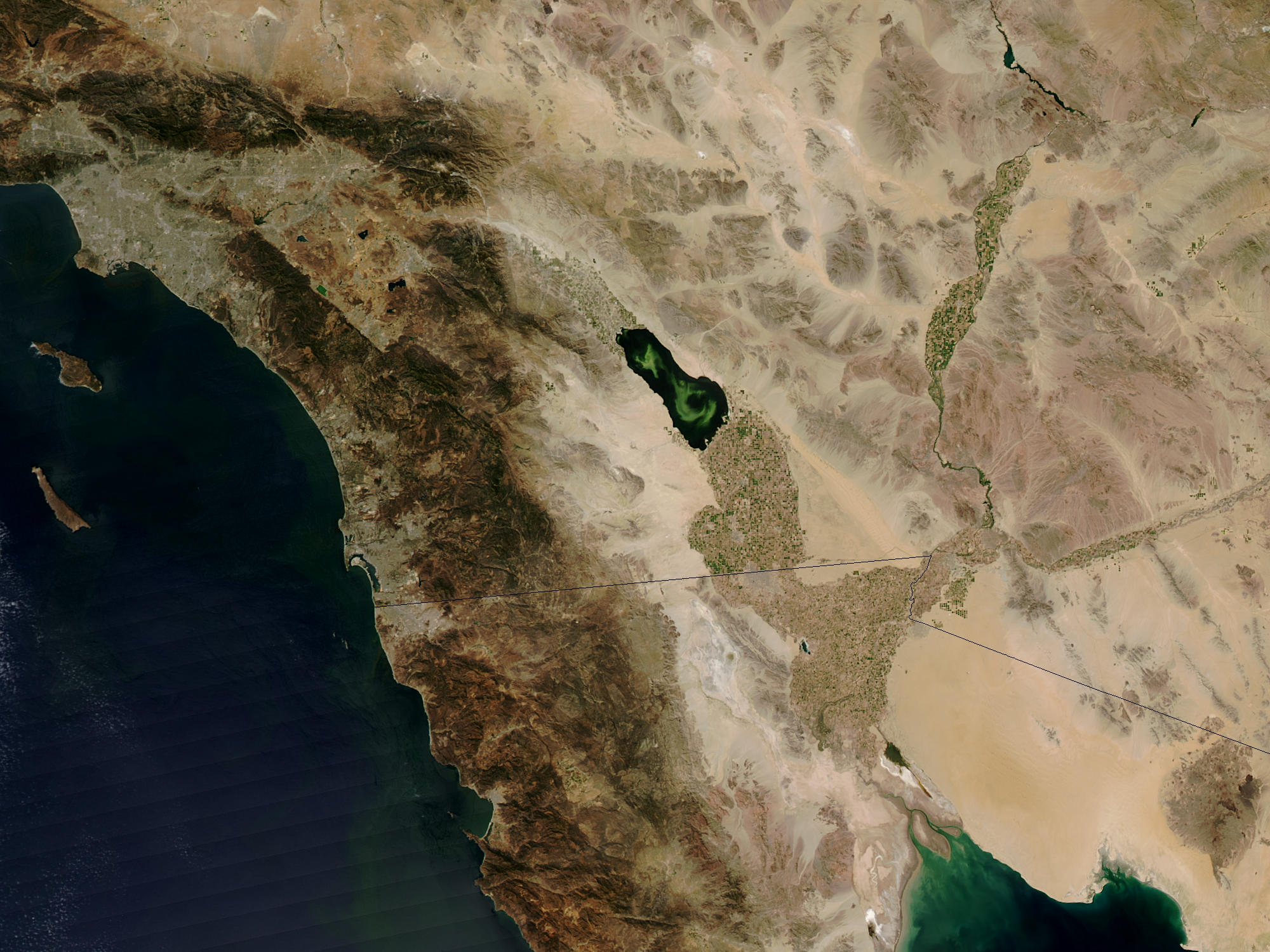 Algal bloom in the Salton Sea, California - related image preview
