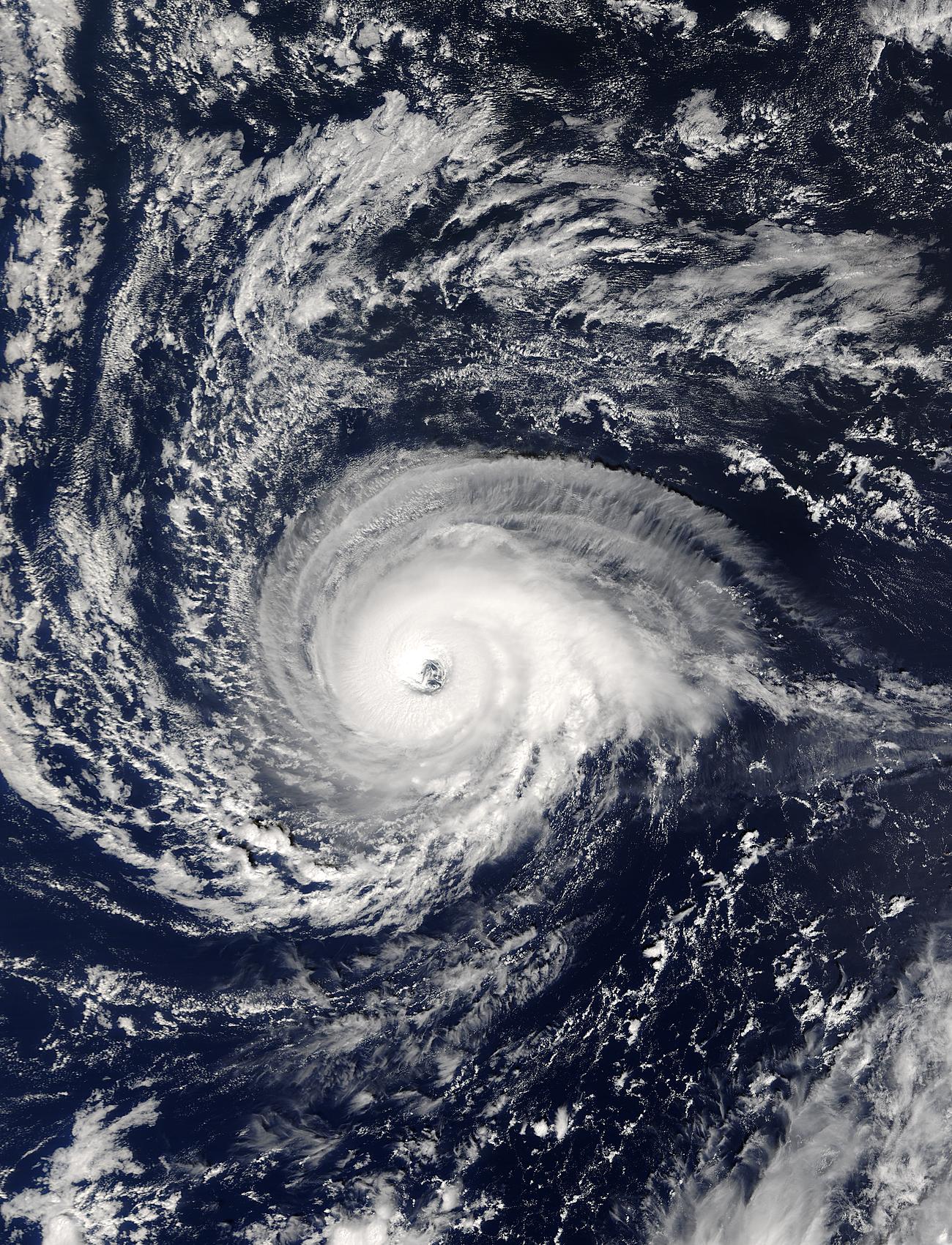 Hurricane Kate, Atlantic Ocean - related image preview