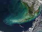 The Florida Keys - selected image