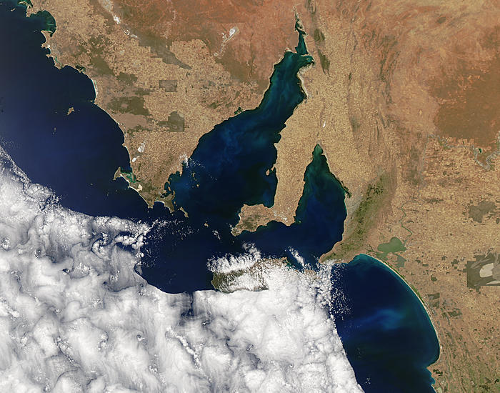 Phytoplankton blooms off South Australia - related image preview