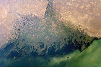 Volga River Delta - related image preview