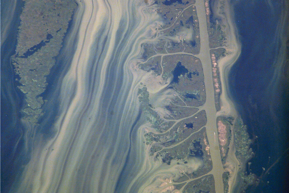 Volga River Delta - related image preview