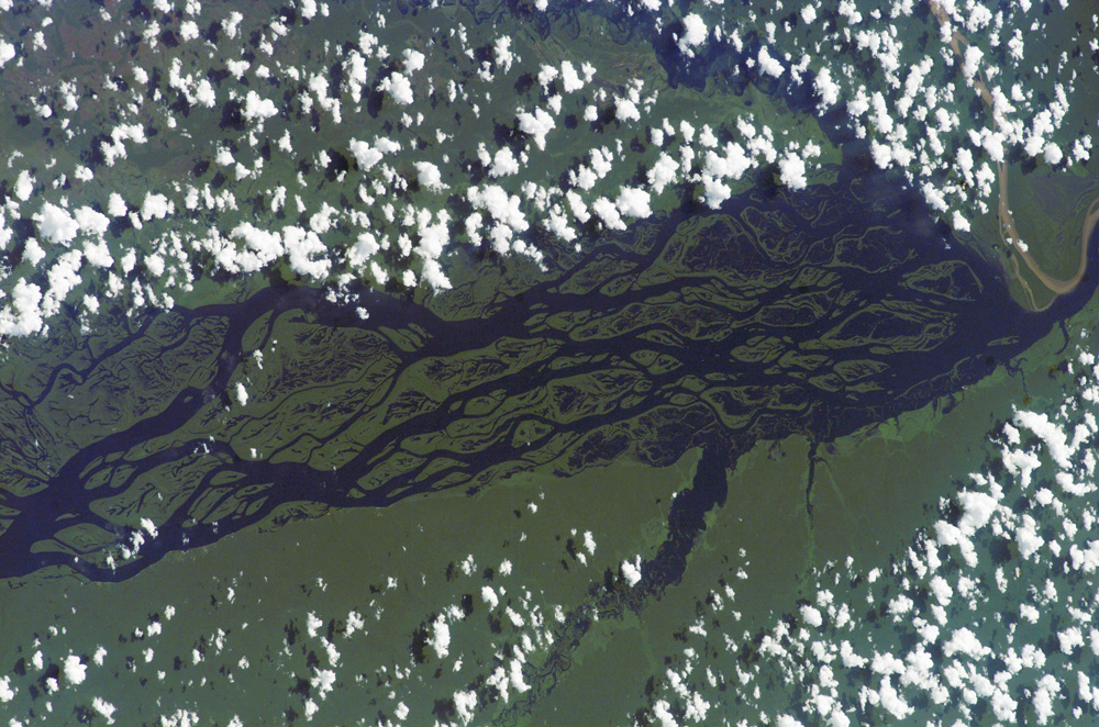 Rio Negro, Amazonia, Brazil - related image preview