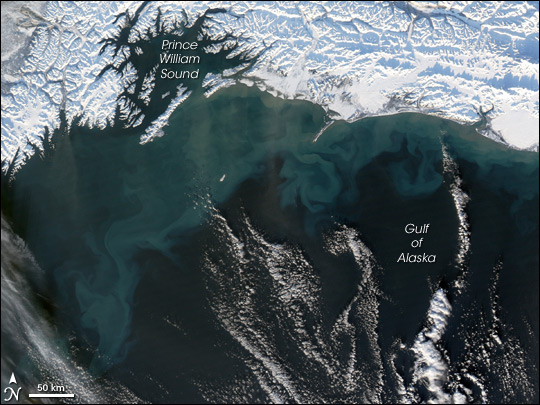 Ocean Color in the Gulf of Alaska - related image preview