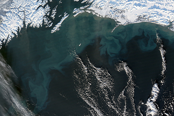 Ocean Color in the Gulf of Alaska - related image preview