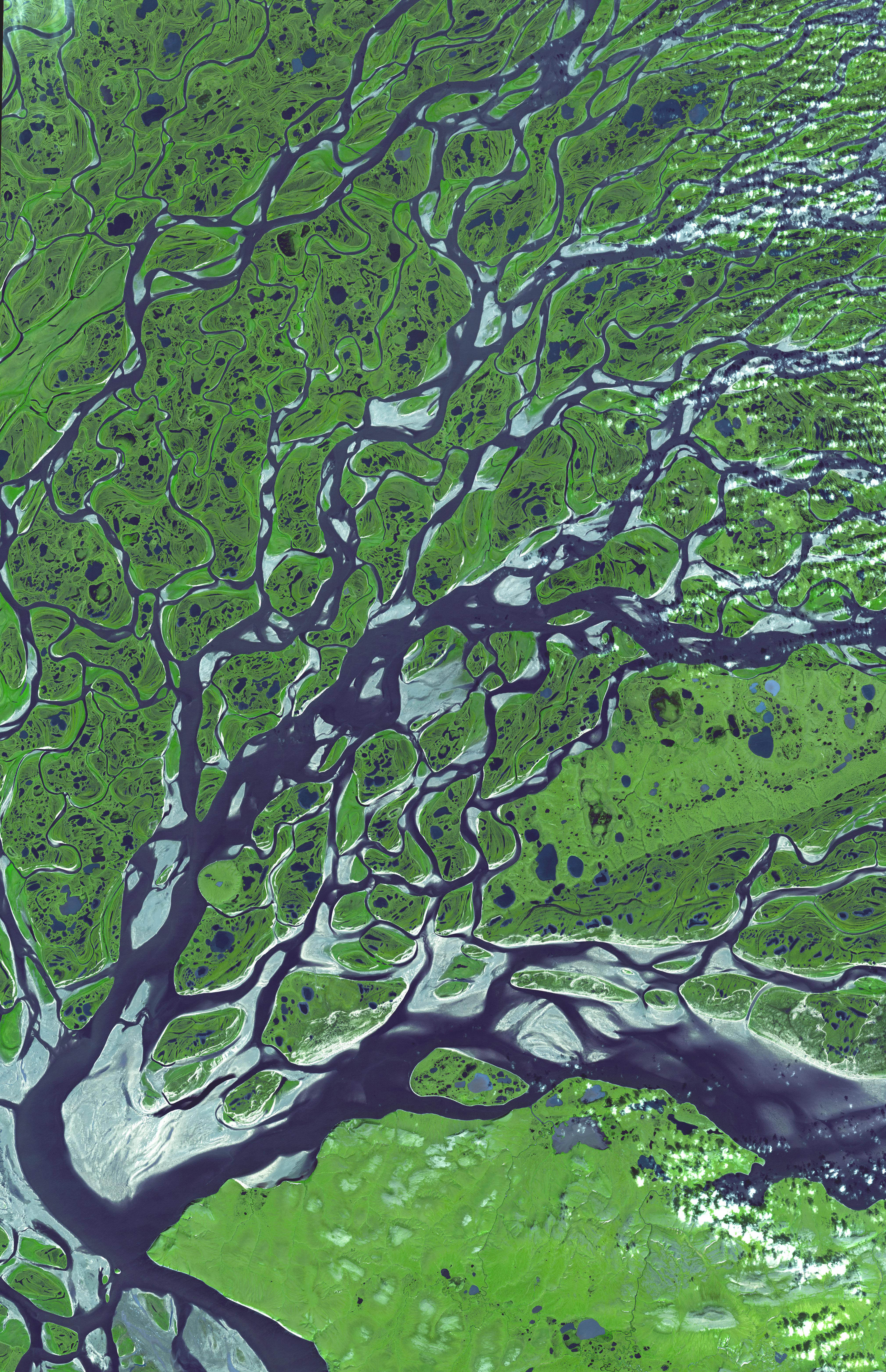 Дельта реки Лена со спутника