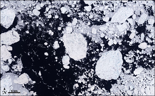 Detailed View of Arctic Sea Ice