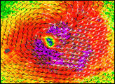 Tropical Cyclone Dora - selected image