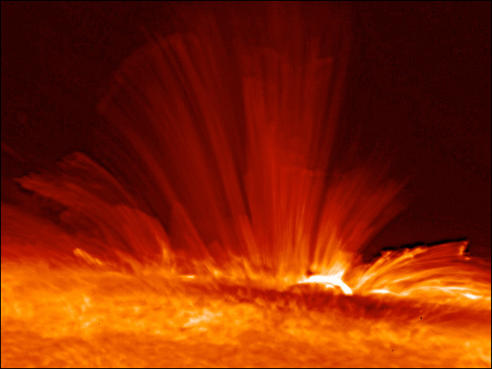 The Sun’s Magnetic Field