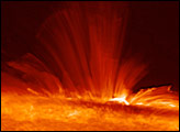 The Sun’s Magnetic Field
