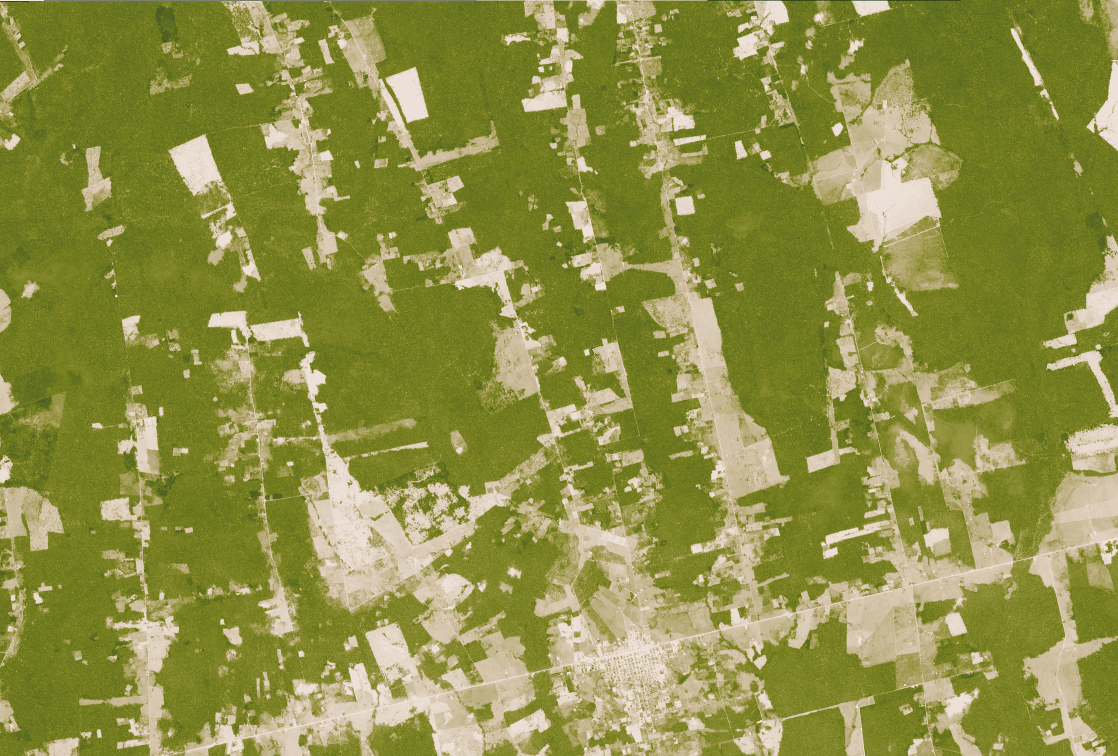Deforestation in Rondonia, Brazil - related image preview