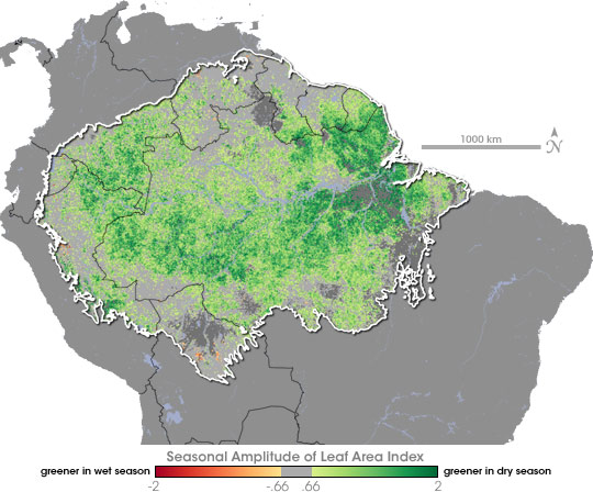 Seasonal Swings in Amazon Leaf Area - related image preview