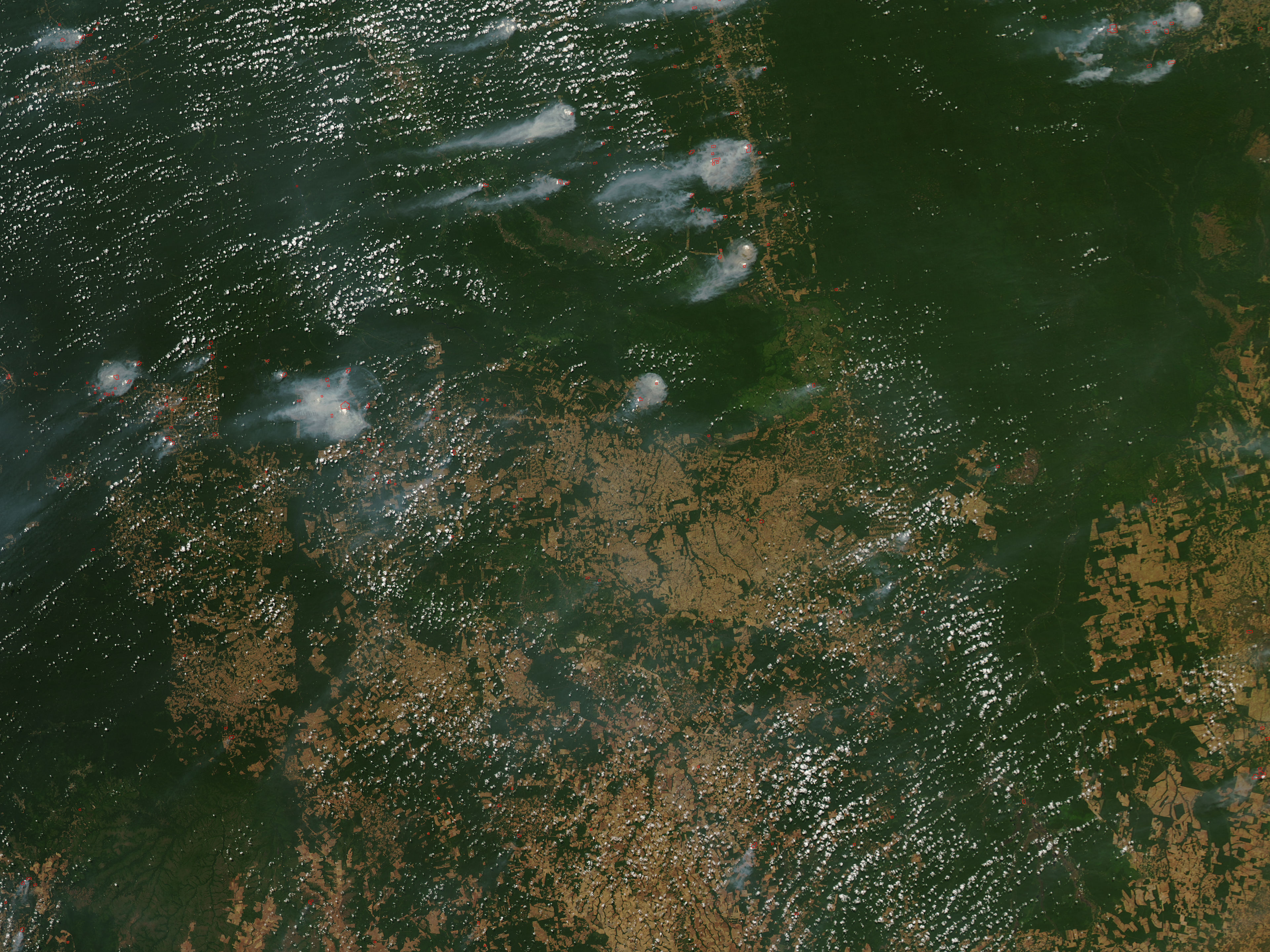 Initiation of Rainy Season in Southern Amazon - related image preview