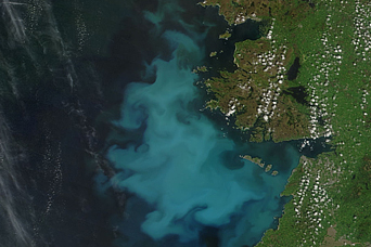 Blooming Seas West of Ireland - related image preview