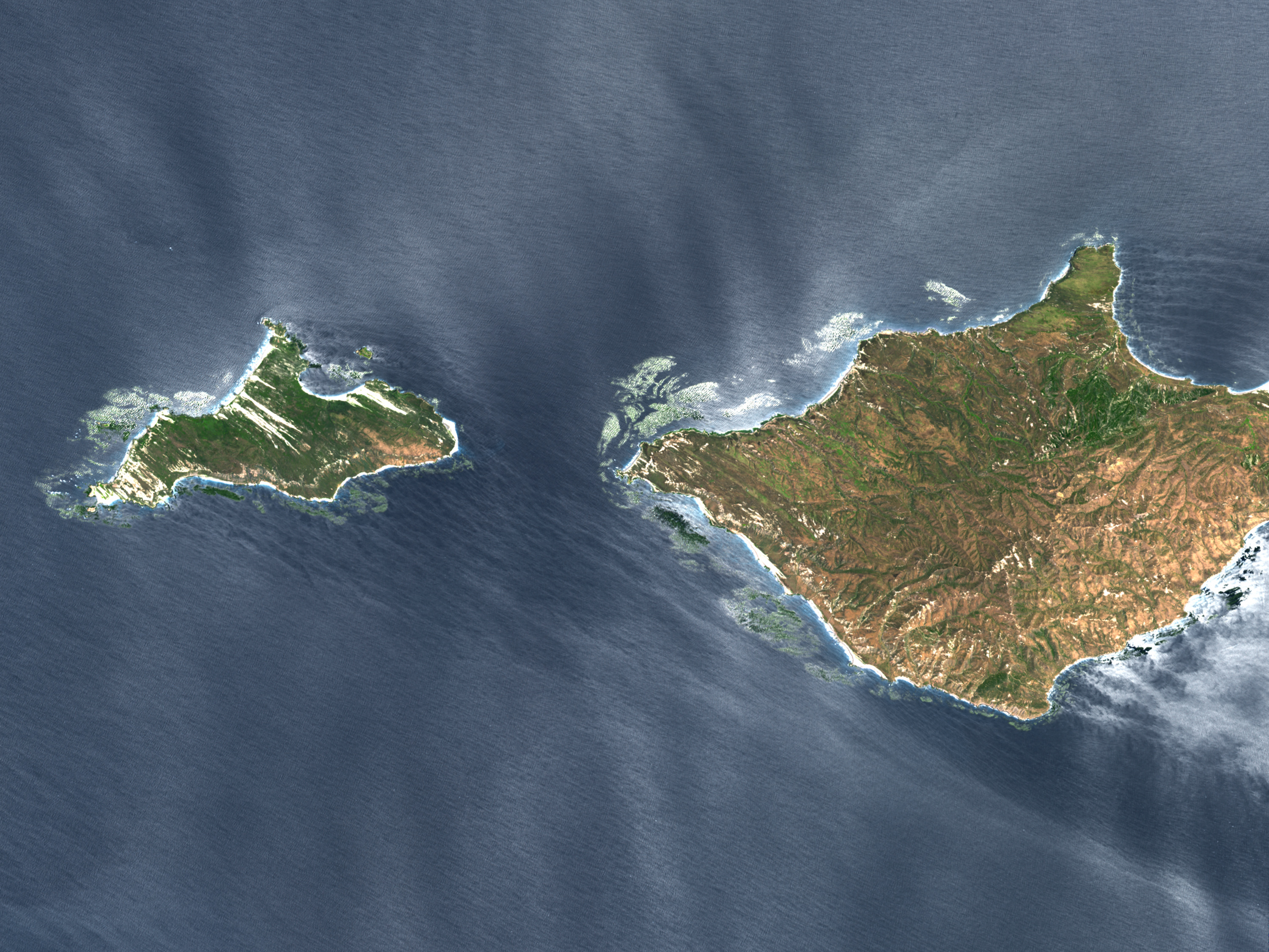 San Miguel and Santa Rosa Islands - related image preview