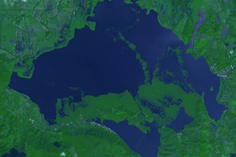 Aquatic Plants Choke Lake Olomega - related image preview