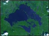 Aquatic Plants Choke Lake Olomega