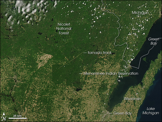 7 Striking Examples of Deforestation From NASA