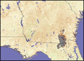 Drought in Southeastern United States