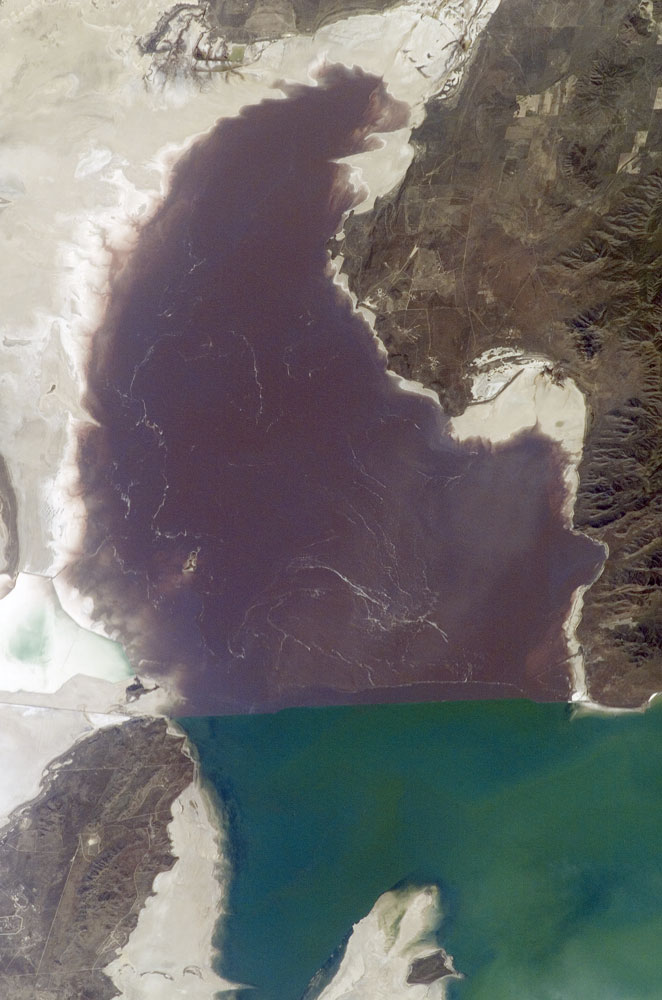 Algae in Great Salt Lake - related image preview